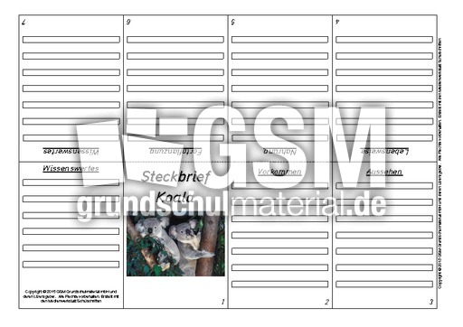 Faltbuch-Koala-2.pdf